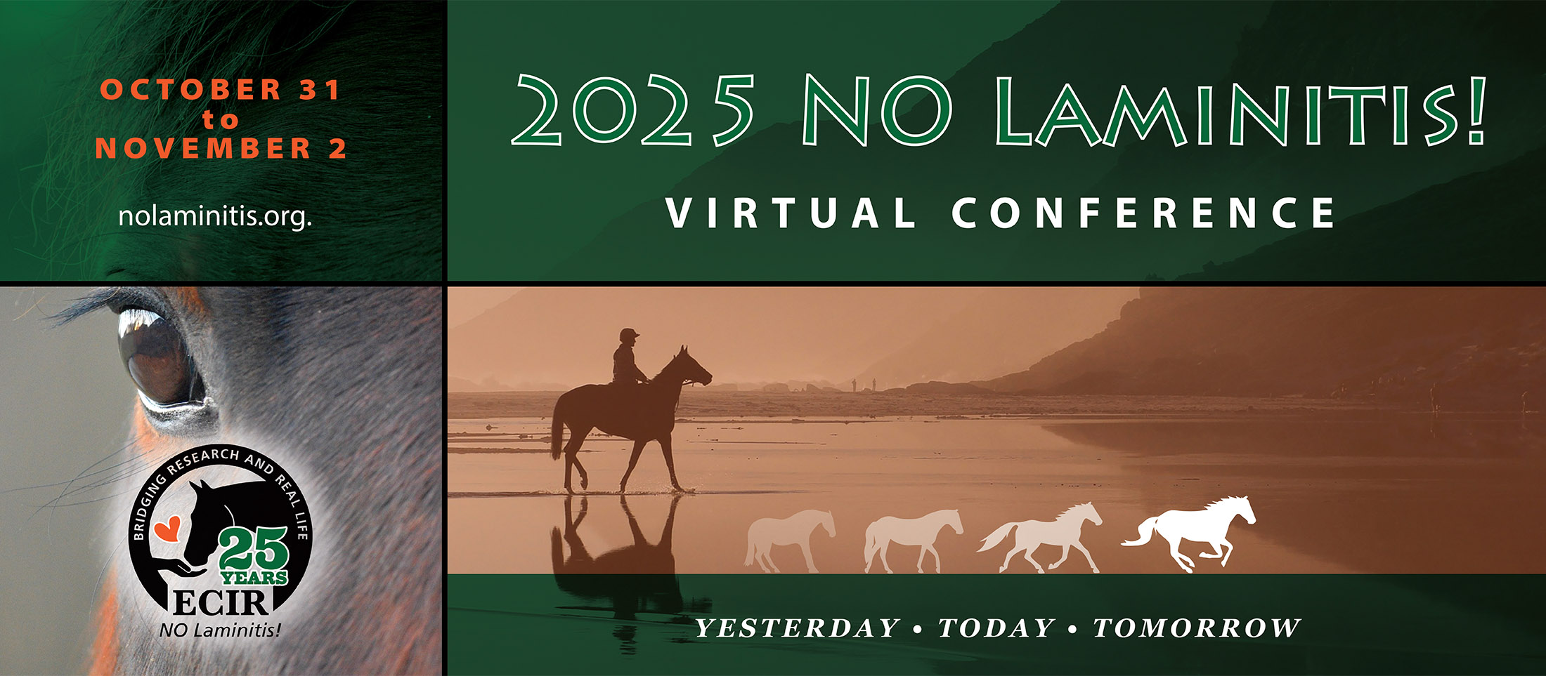 No Laminitis! 2025